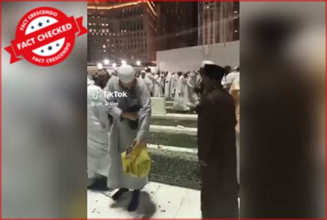 cockroach in mecca 2023|Is It True That Millions Of Cockroaches Have Recently Emerged F.
